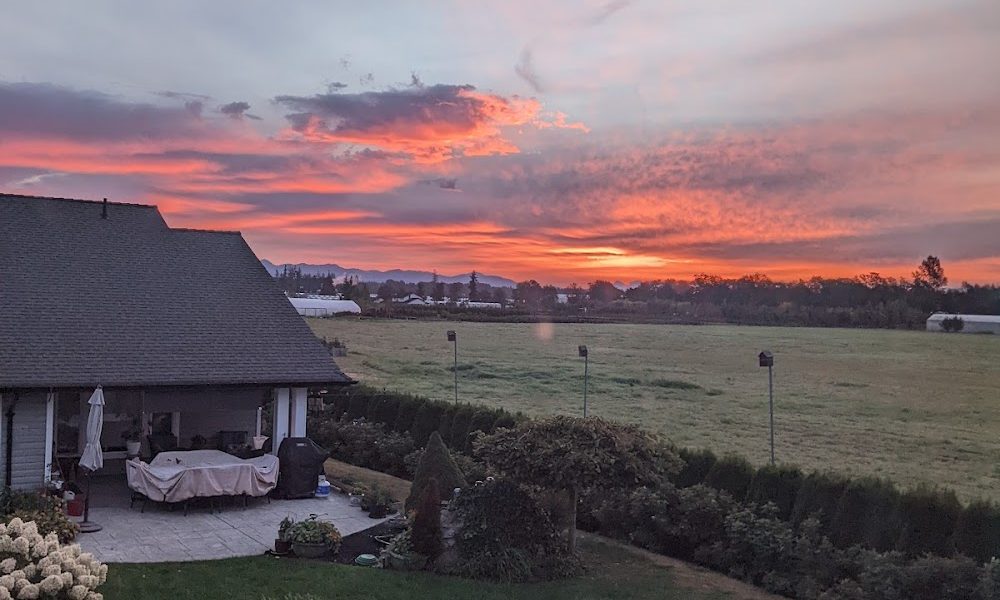 Aldor Veterinary Clinic Ltd.