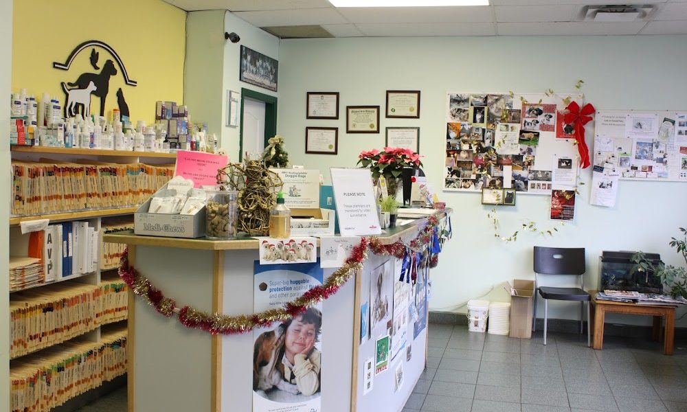 Alta Vista Animal Hospital