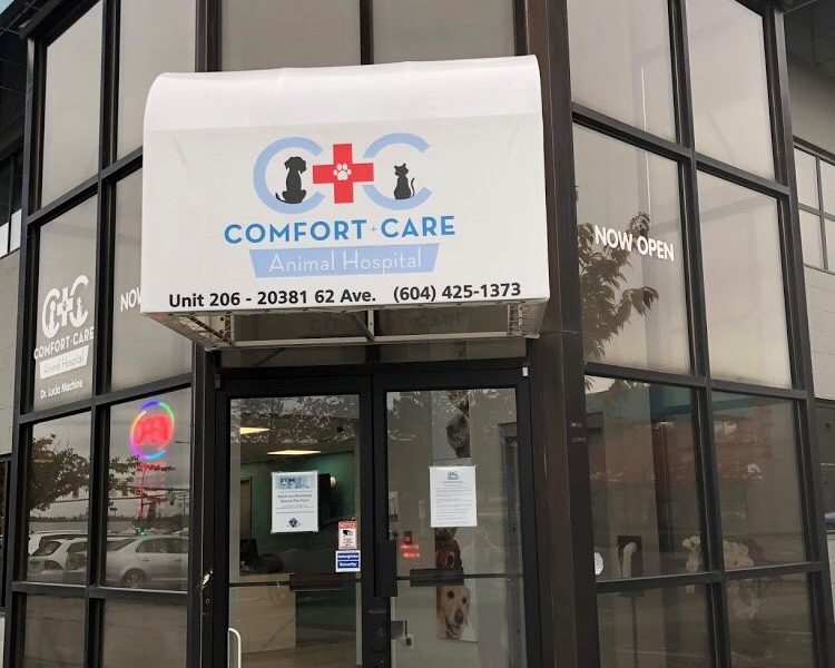 Comfort and Care Animal Hospital
