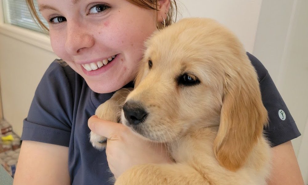 Crescent Beach Veterinary Clinic