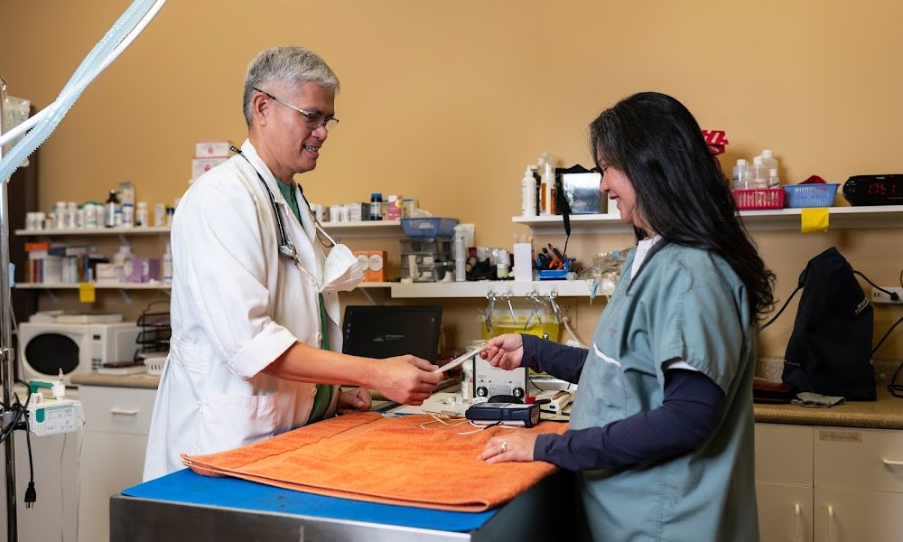 King George Veterinary Hospital