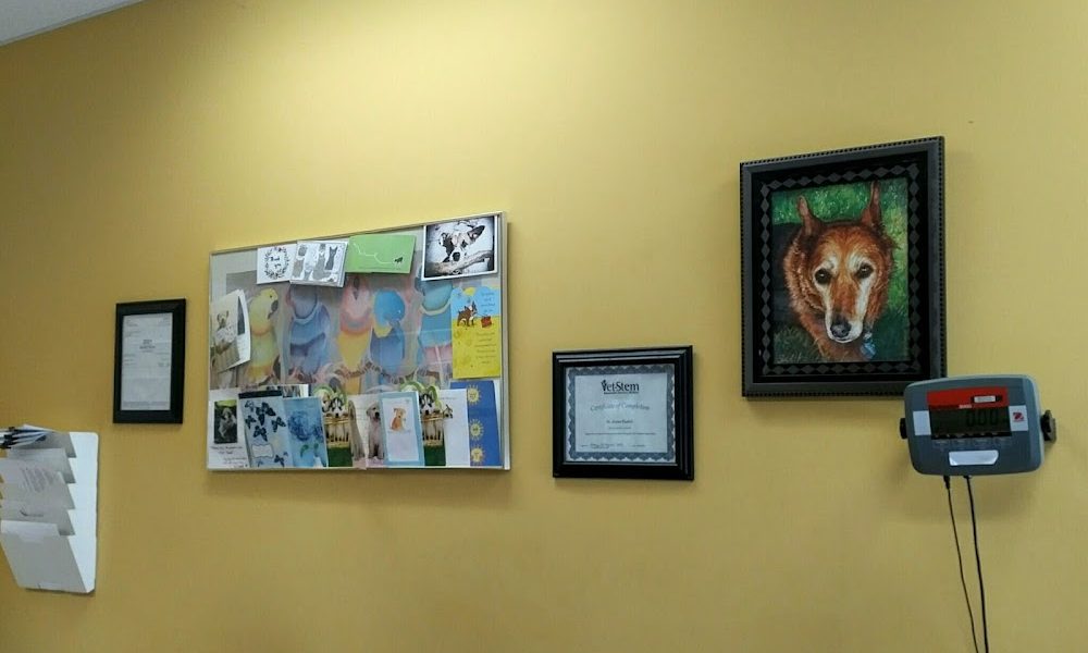 Kingsway Veterinary Clinic