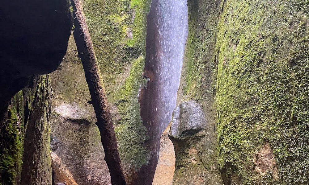 Nirvanami Yoga and Wellness