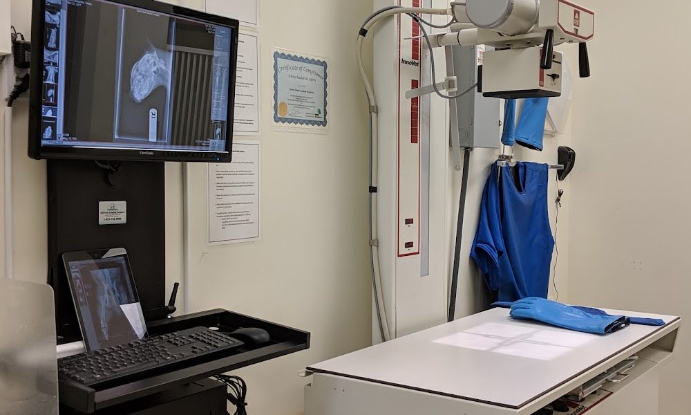 North Bluff Animal Hospital