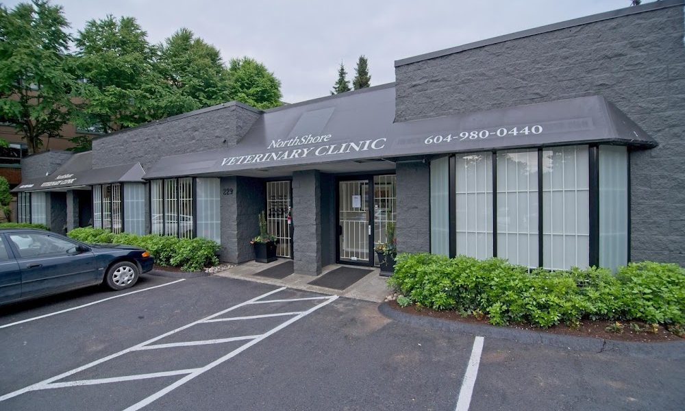 North Shore Veterinary Clinic