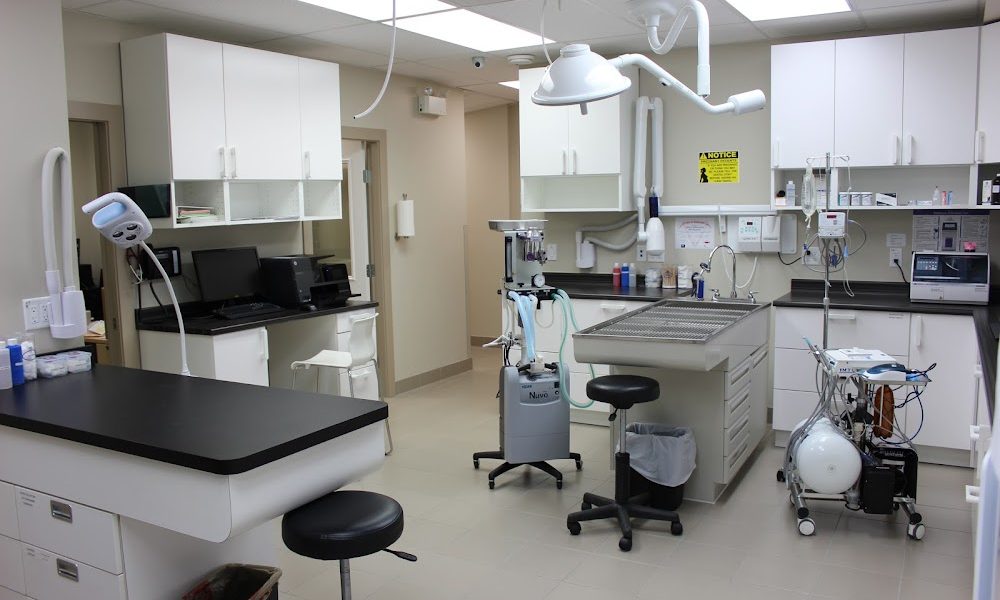 North Vancouver Pet Hospital