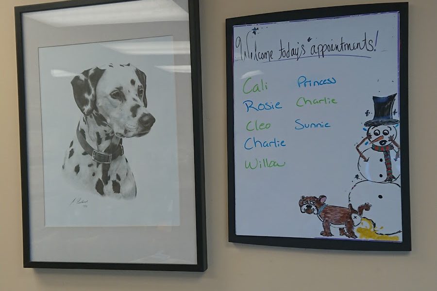 Paws & Claws Animal Hospital