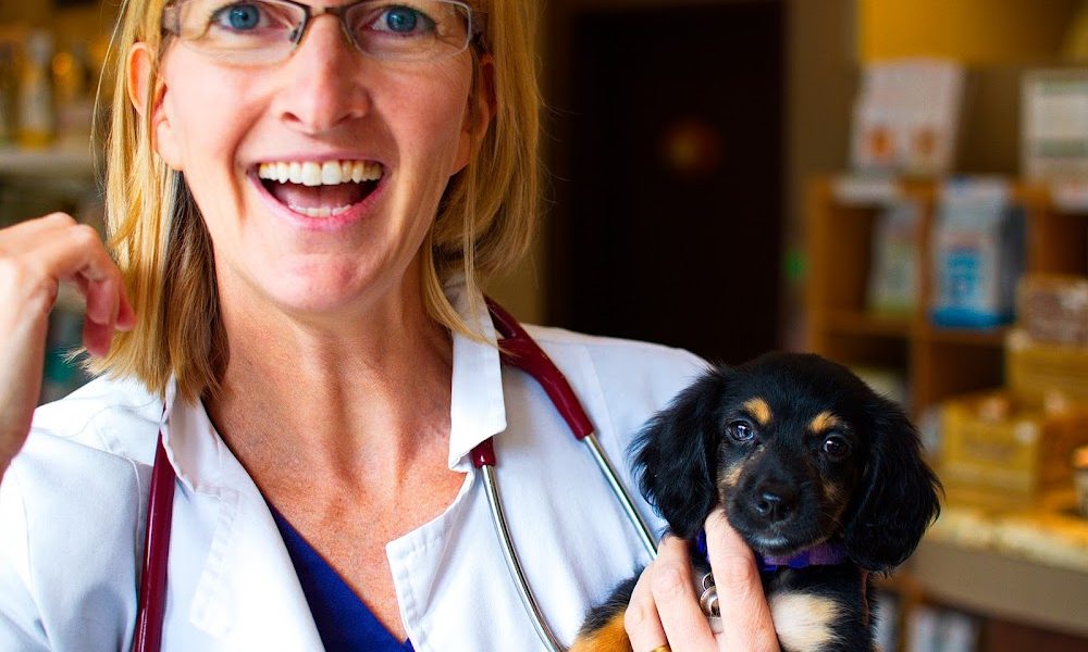 Port Moody Animal Hospital Ltd