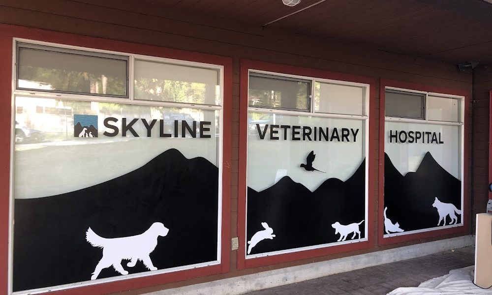 Skyline Veterinary Hospital