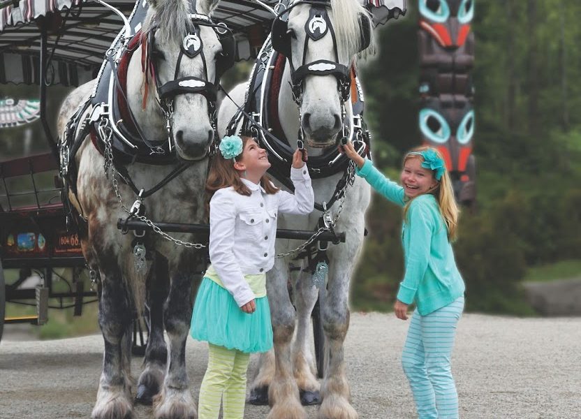 Stanley Park Horse-Drawn Tours
