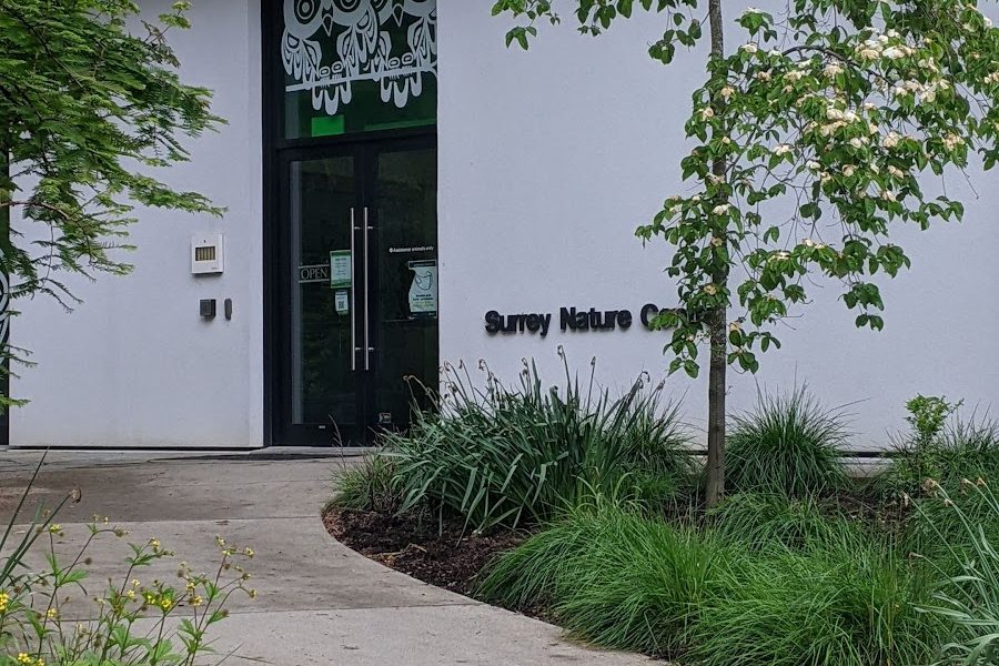 Surrey Nature Centre