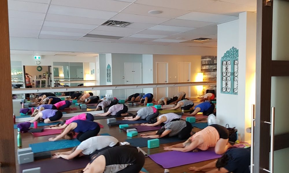 Sweet Serenity Yoga and Wellness + Fitness