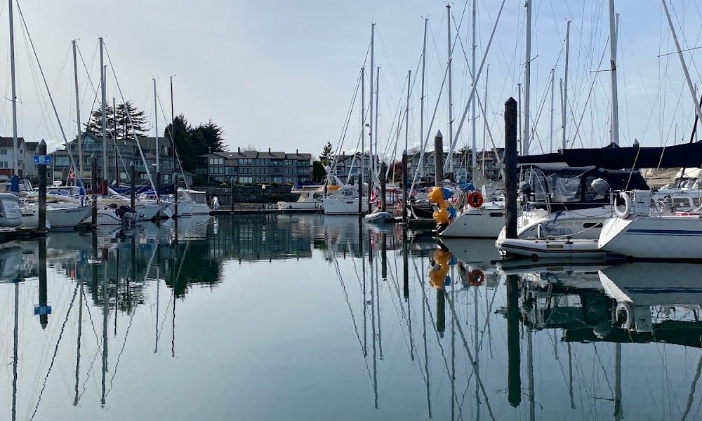 White Rock Sea Tours