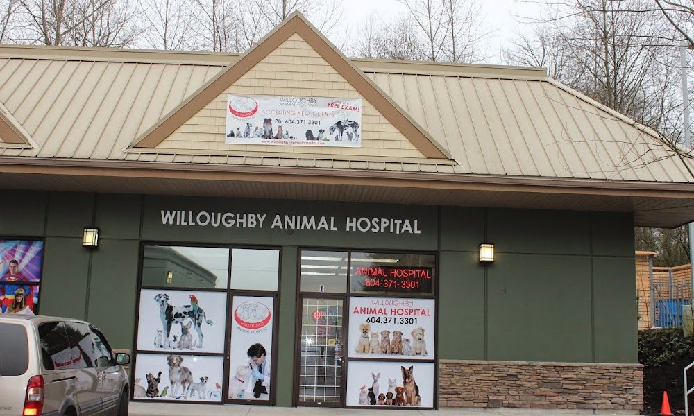 Willoughby Animal Hospital
